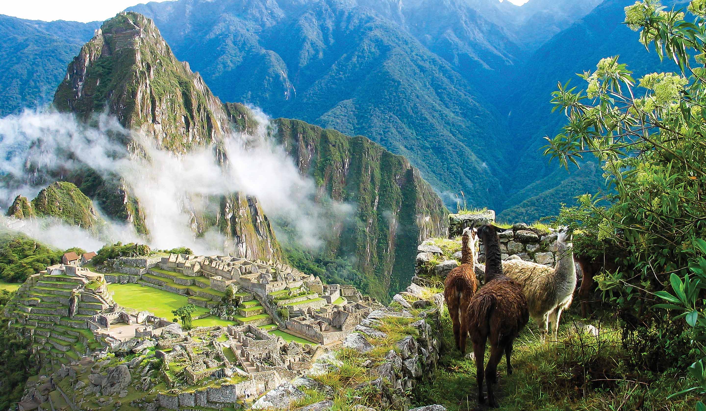 A Journey to Exotic South America